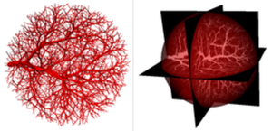 3D raster image simulator