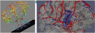 segmentacja i modelowanie